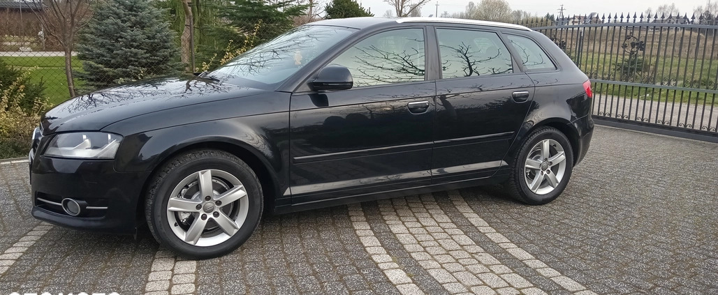 Audi A3 cena 25900 przebieg: 197258, rok produkcji 2009 z Kętrzyn małe 301